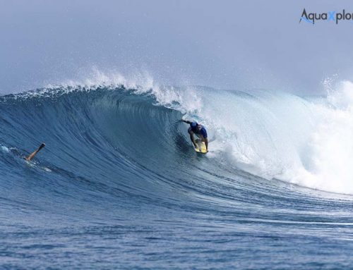 Viaje de surf a Maldivas ✅