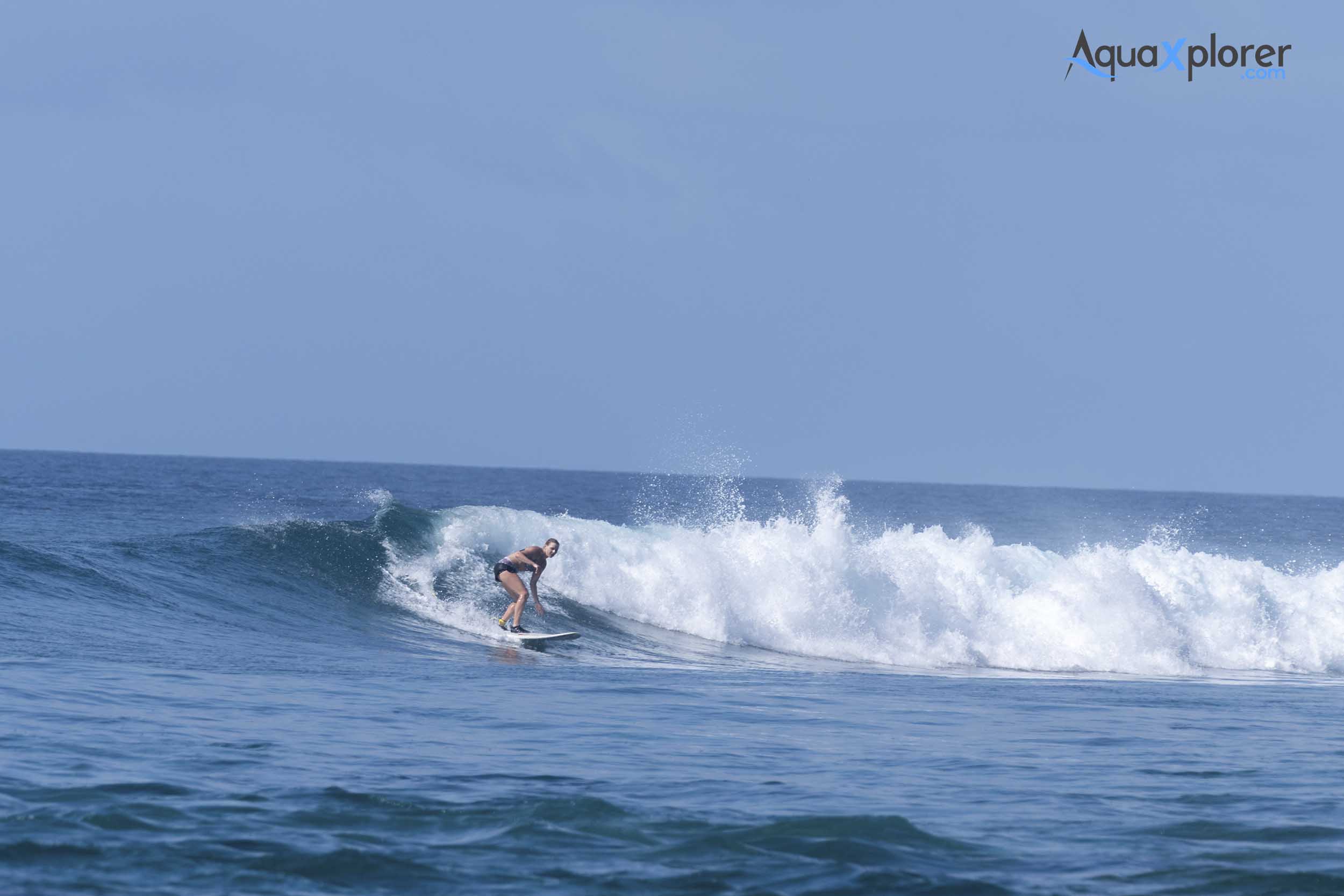 Surf principiante
