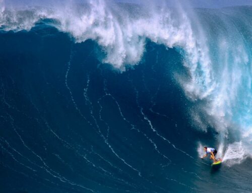 La Ola Gigante Hawaiana «JAWS»